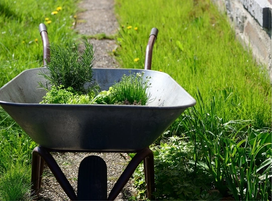 Entretien Espaces Vert